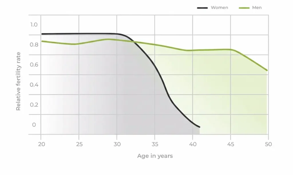 male fertility chart